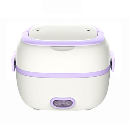 Multi-function electric cooking lunch box